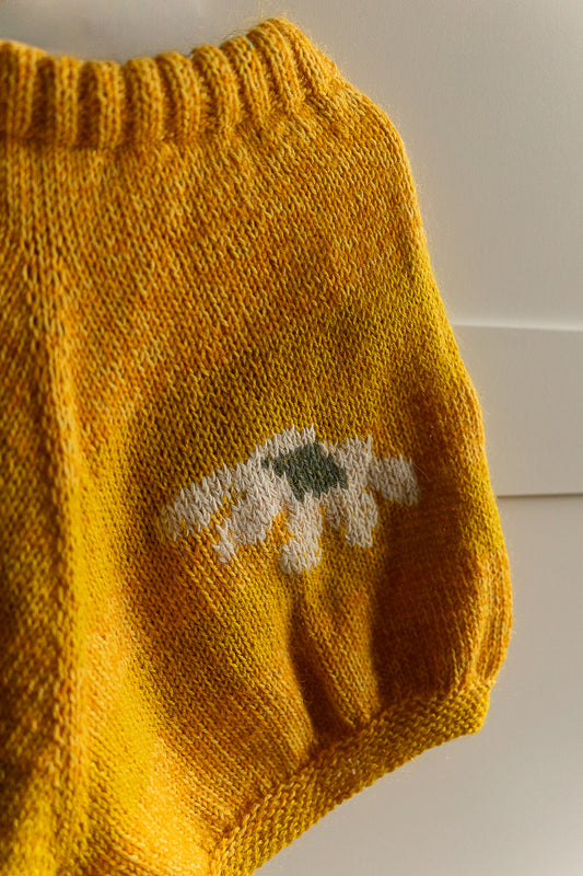 Saulainie bitīšu šorti