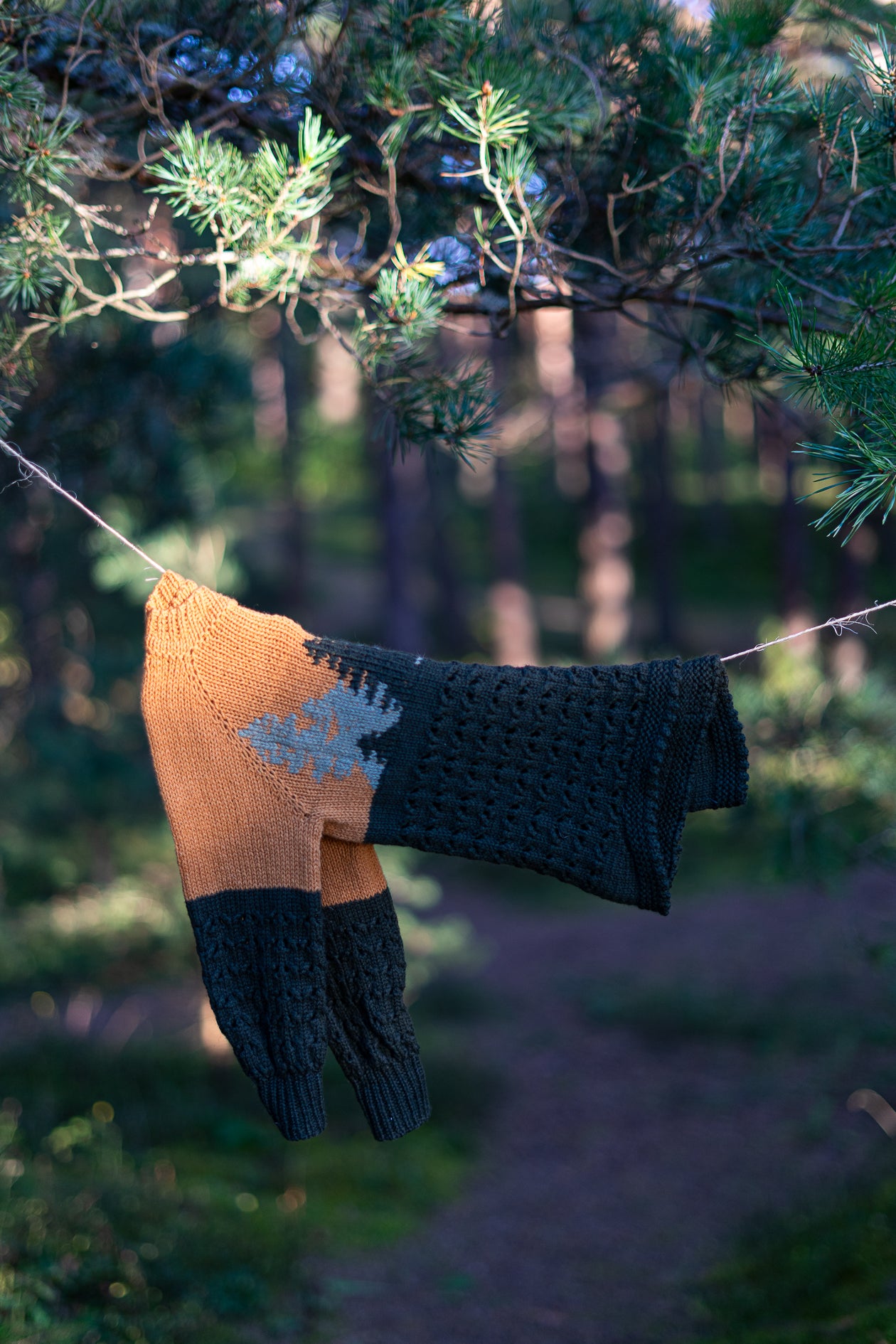 Džemperis Piejūras mežs