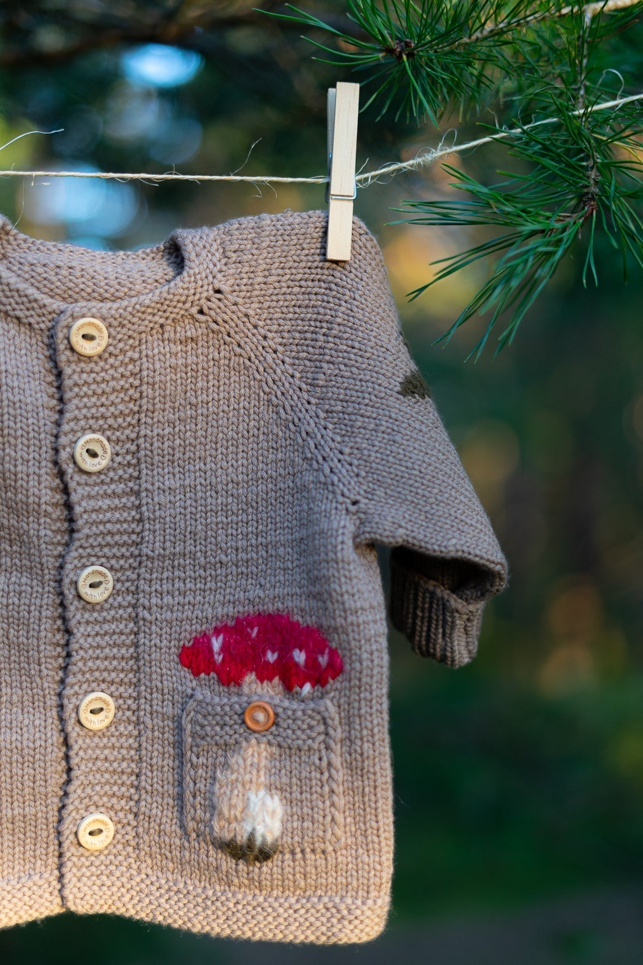 Mazā sēņotāja komplektiņš